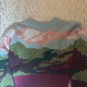 women’s wild fable sweater size small